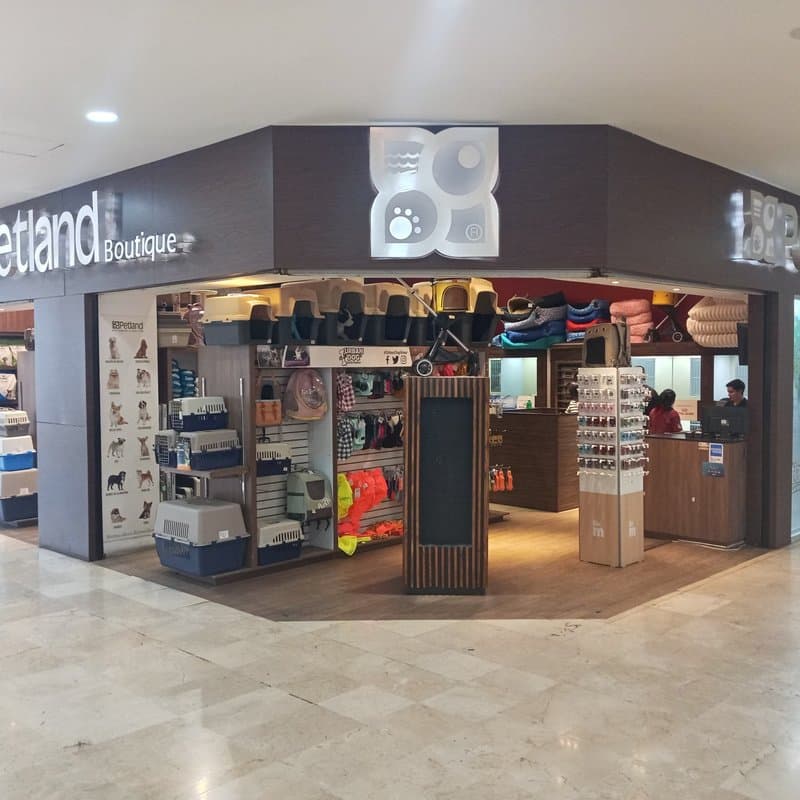 Galerías Guadalajara