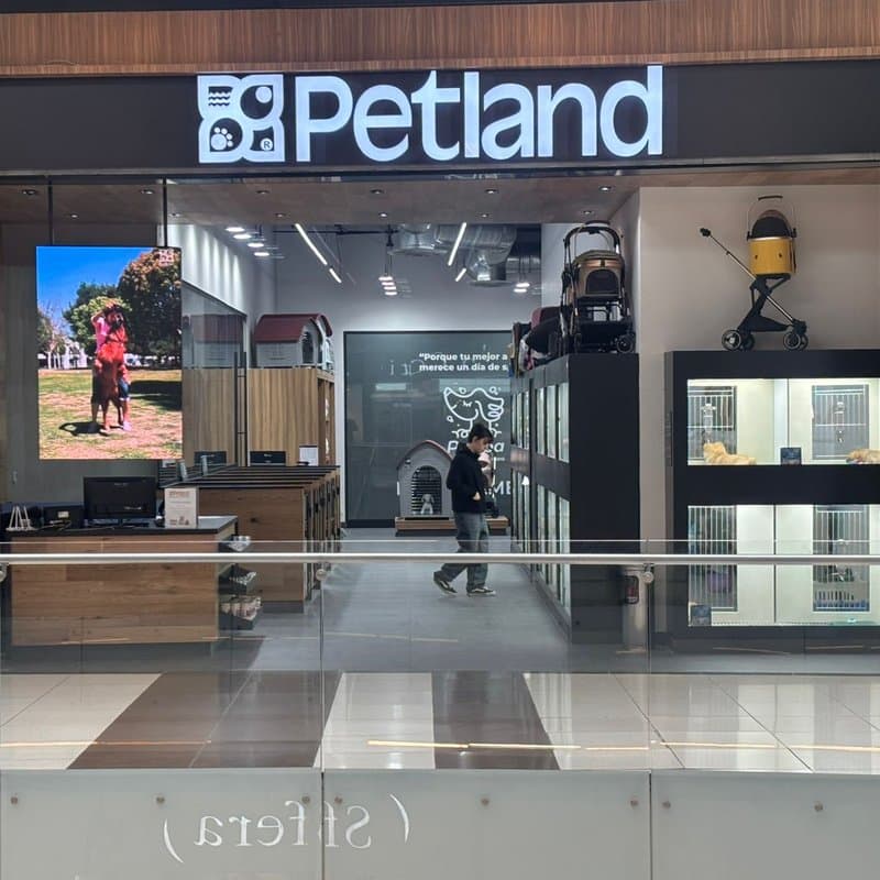 Galerías Metepec